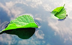 第七屆華南鋰電論壇優(yōu)秀學(xué)術(shù)論文征集正式啟動